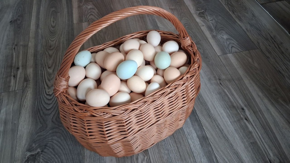 Jajeczna gorączka przed świętami