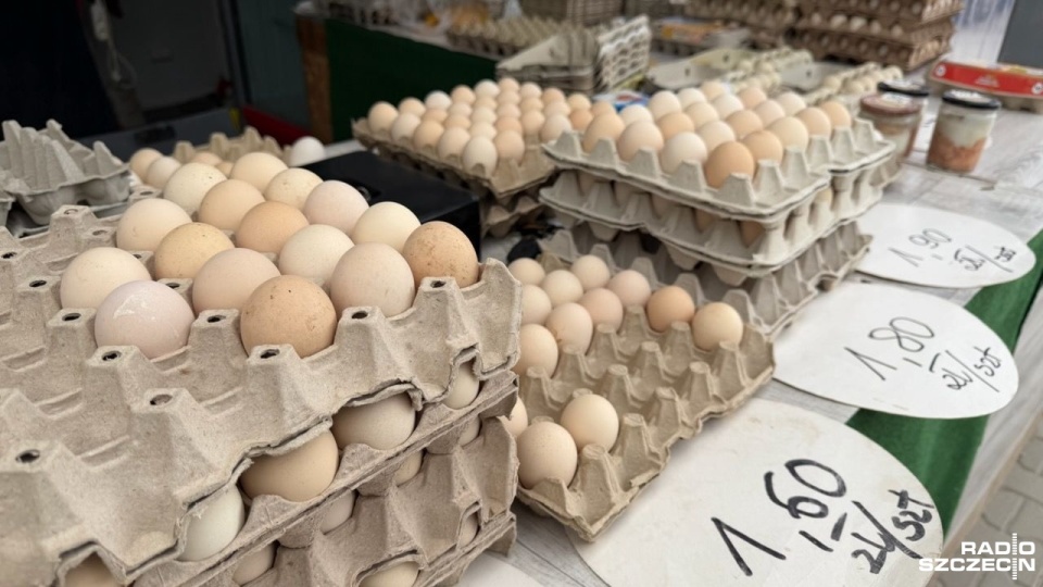 Rewolucja na rynku. Sieci handlowe mówią "nie" jajom klatkowym