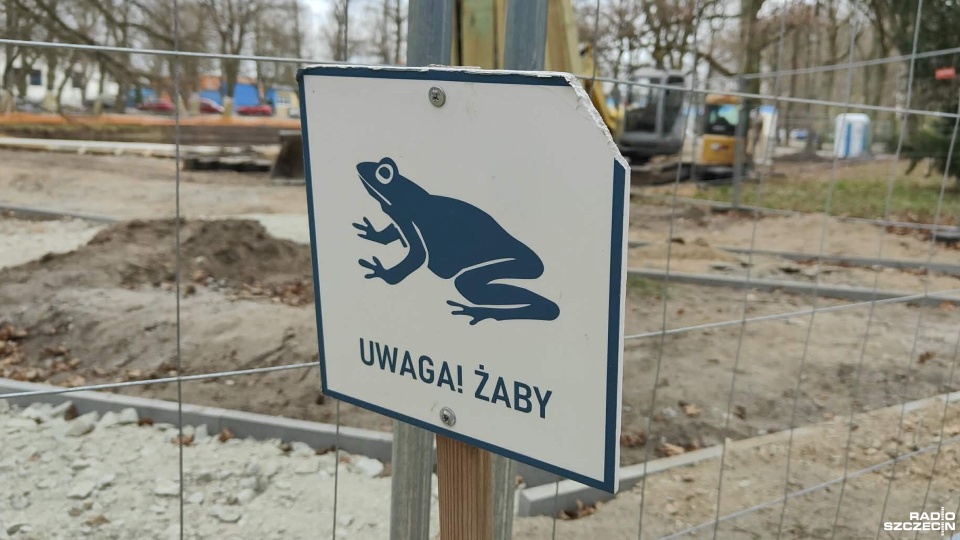 Fot. Przemysław Polanin [Radio Szczecin]