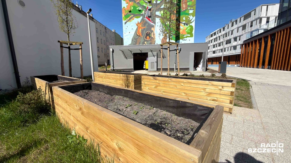 Ogród na dachu. Mieszkańcy zdecydują, co posadzą [WIDEO, ZDJĘCIA]