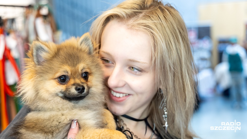 Psi Targ i Konwent Charytatywny Walk-In: Dla Futrzastej Ferajny! Moc atrakcji [WIDEO, ZDJĘCIA]