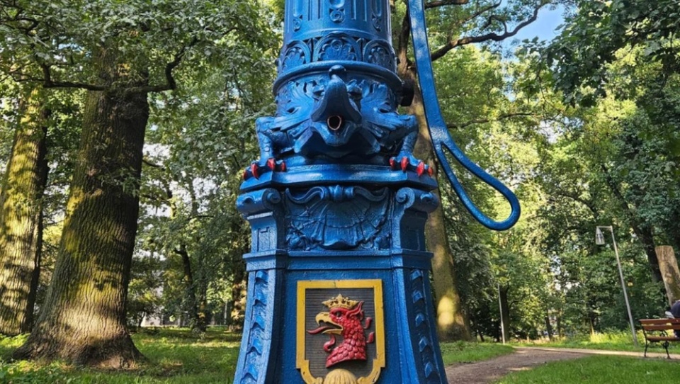 Mają ponad sto lat i cieszą oko w Szczecinie. "Berlinki" po przeglądzie [ZDJĘCIA]