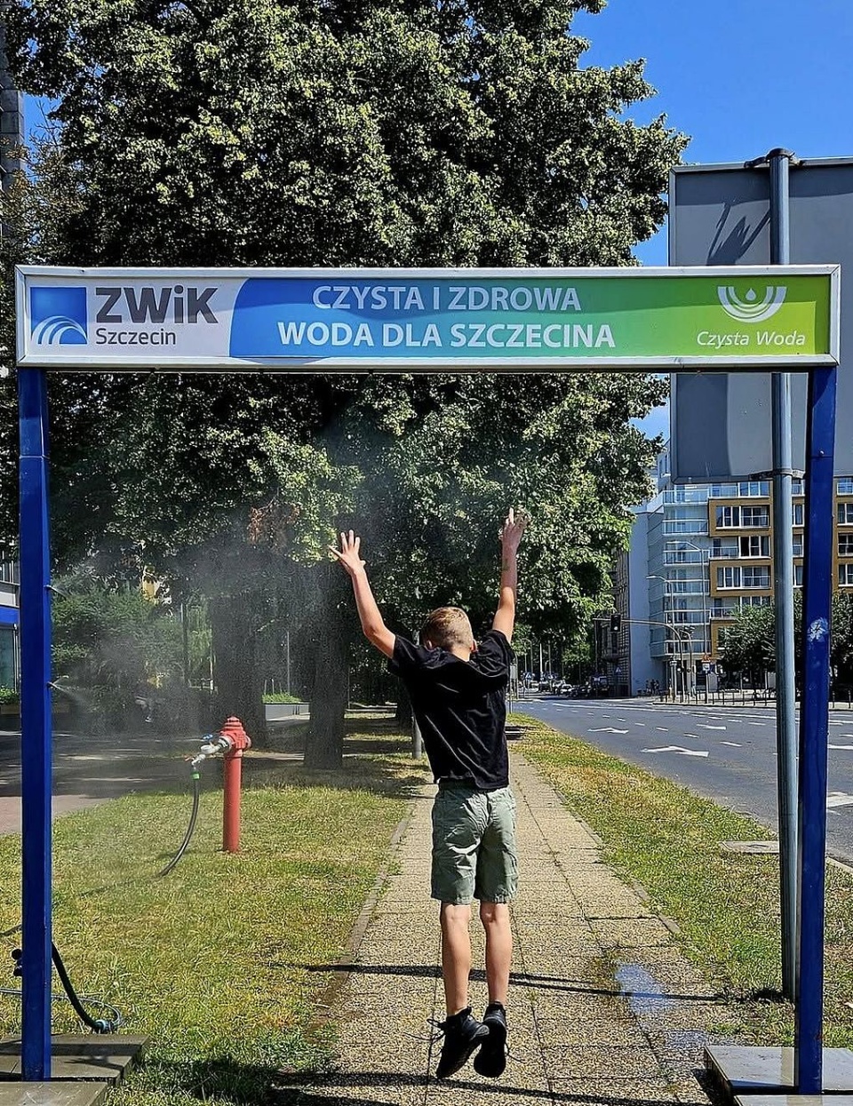 Kurtyna, fot. ZWiK