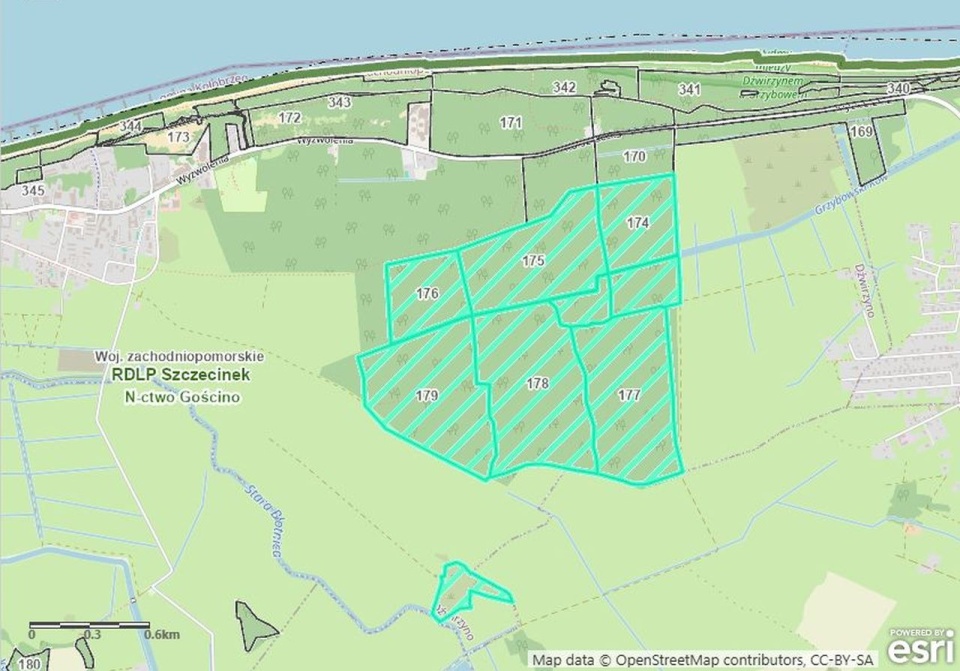 Teren objęty zakazem. Mapa z Lasów Państwowych