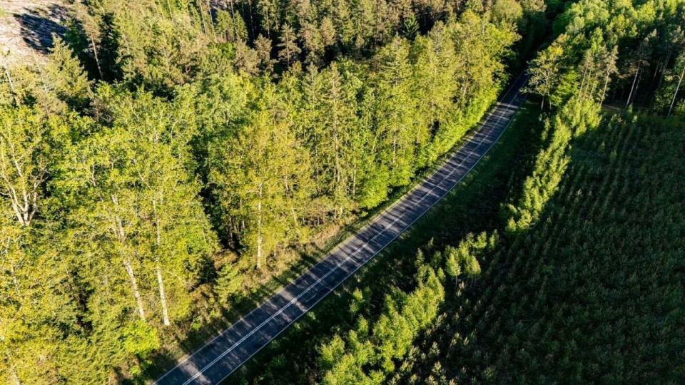 Przebudowa DW nr 205 na odcinku Krąg - Polanów