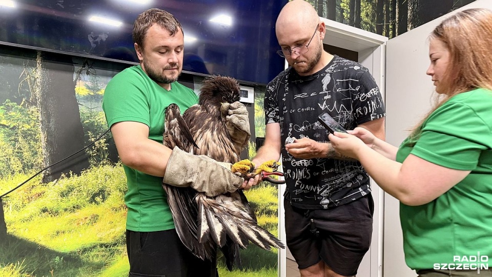 Fot. Weronika Łyczywek [Radio Szczecin]