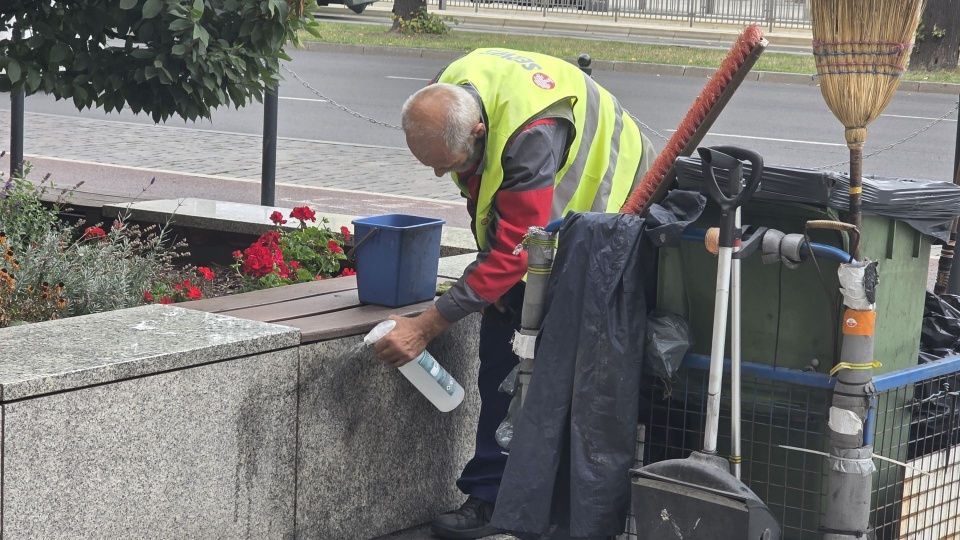 Społecznicy chcą wysprzątać Szczecin