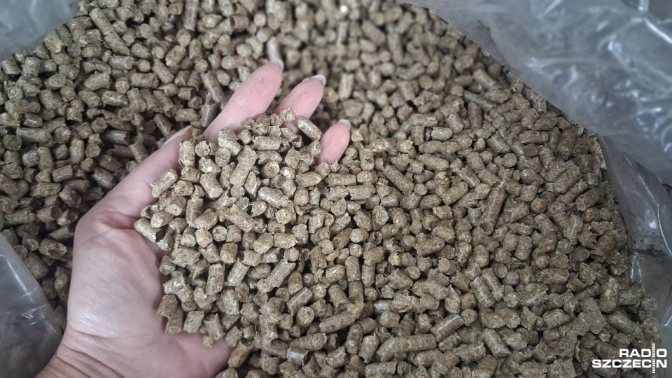 Pellet drożeje. Właściciele kotłów na biomasę szukają tańszych alternatyw