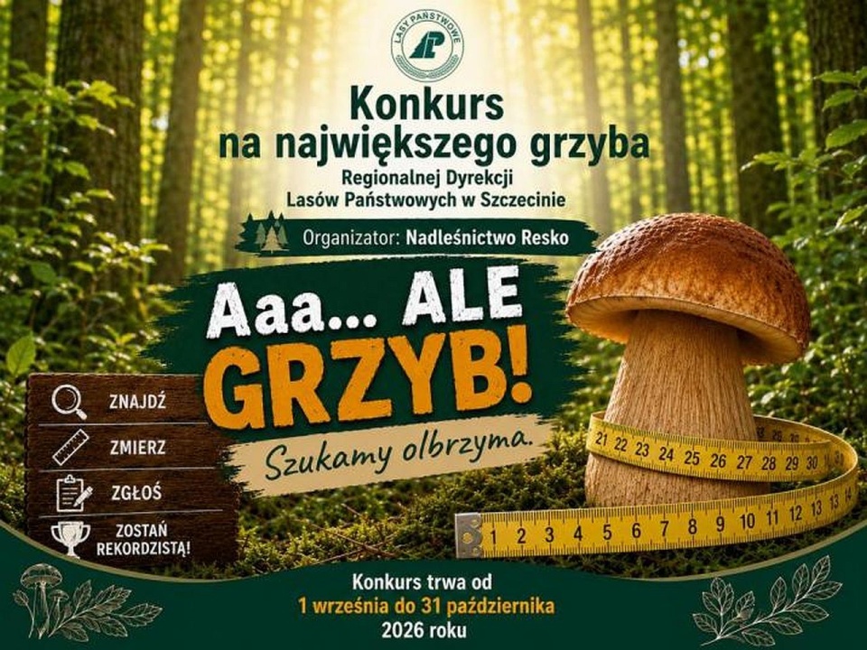 Materiały organizatora