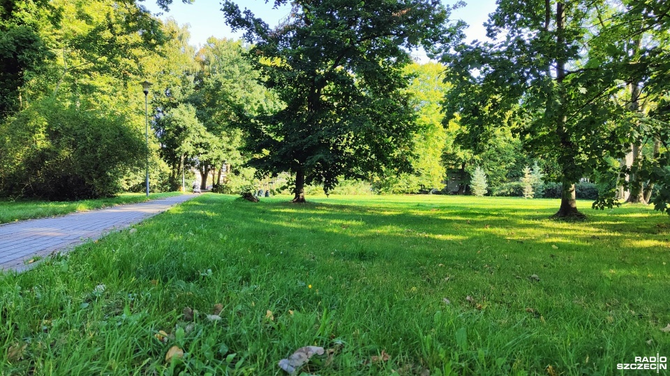 Remont parku, który kiedyś był cmentarzem [ZDJĘCIA]