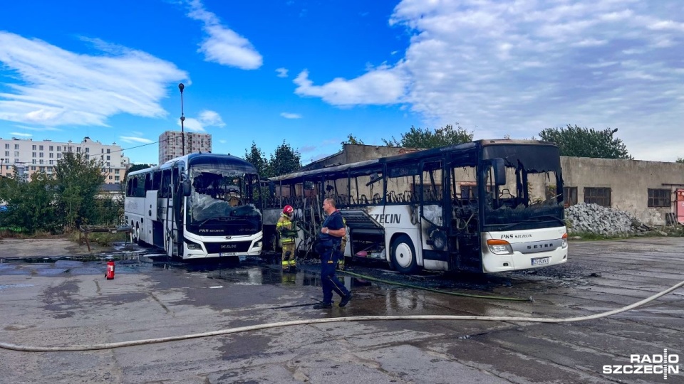 Pożar w bazie autobusowej na Kępie Parnickiej [ZDJĘCIA]