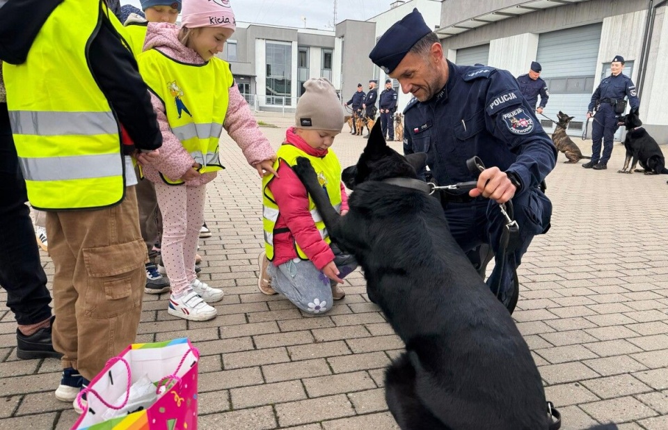 Fot. Komenda Powiatowa Policji w Myśliborzu