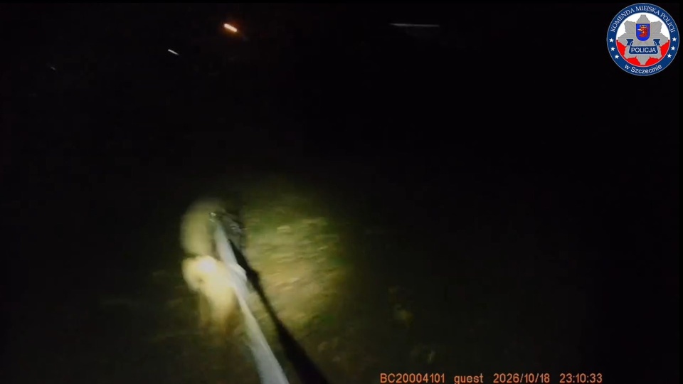 Mężczyzna doprowadził do stłuczki i uciekł. Odnalazła go "Węza" [WIDEO]